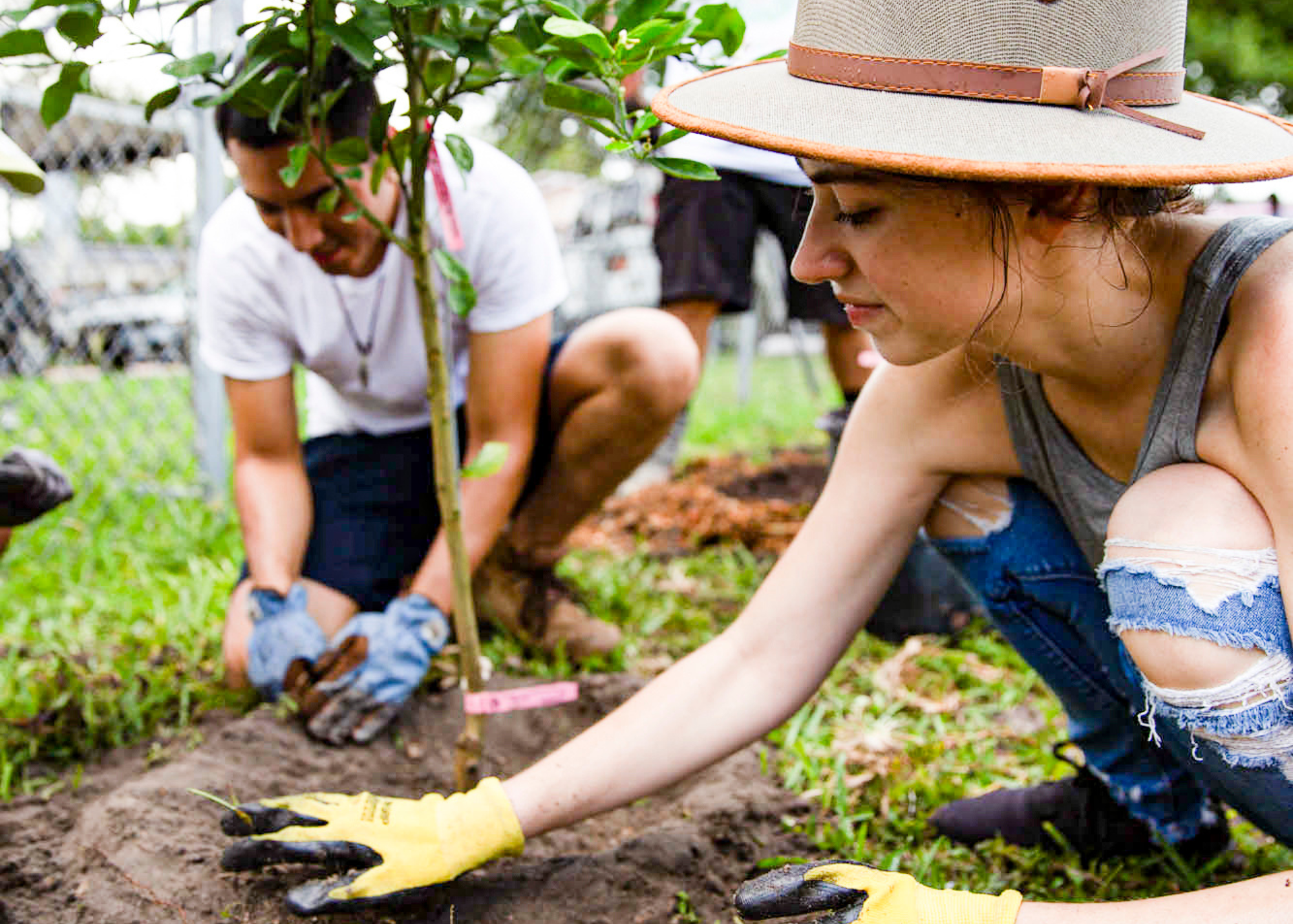 woman and man planting a small tree